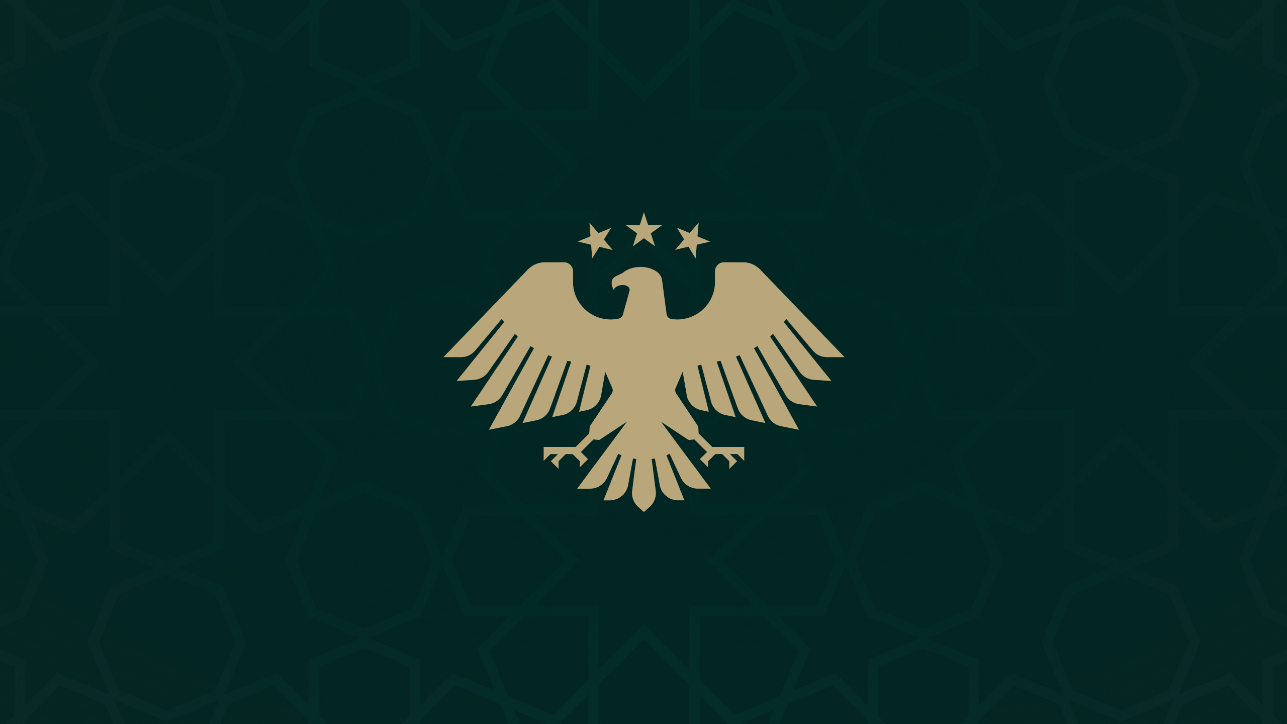 الهيئة المركزية تطلق حملة رقابية شاملة على المؤسسات المالية